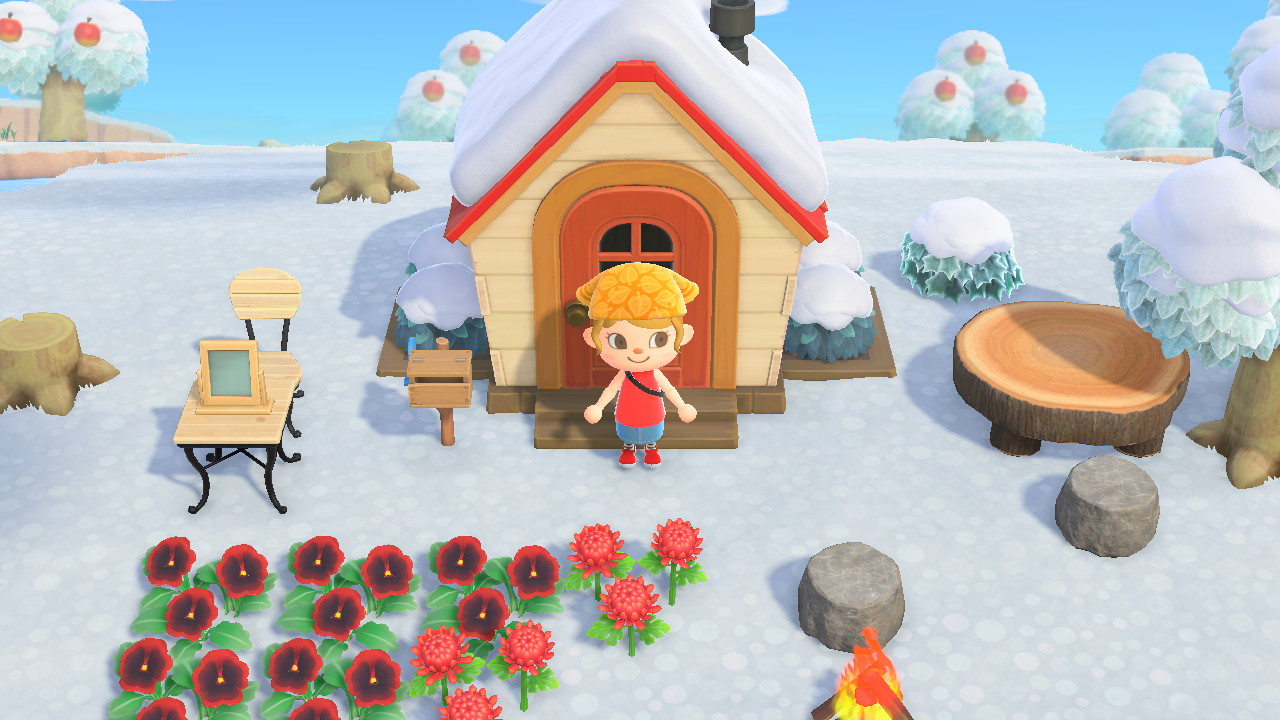 Kullakeks - Nintendo Switch - Animal Crossing New Horizons -Haus